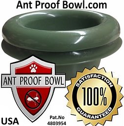 antProofPat