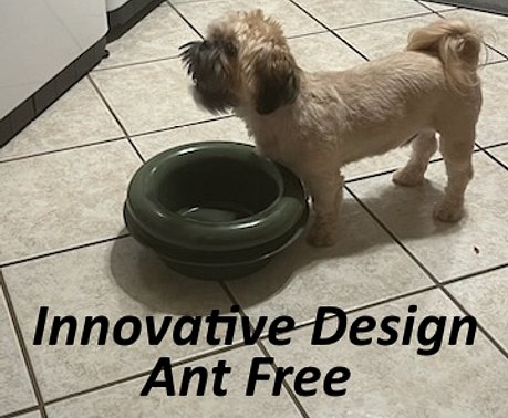 Ant proof pet bowl best sale